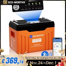 ECO-WORTHY 12V 300AH LiFePO4 Batterie mit Bluetooth Statusanzeige für Wohnmobile
