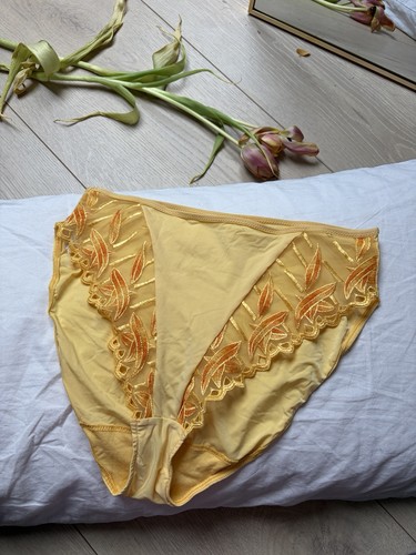 Vintage slip federn stickerei - federn,