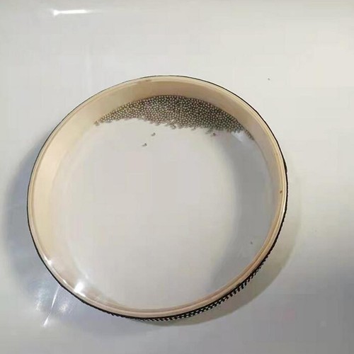 Wave bead sea drum - wave,