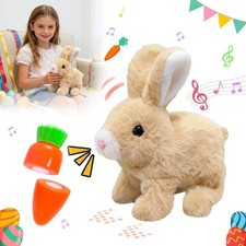 Kaninchen interaktives