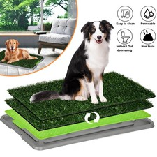 Hundeklo Hundetoilette