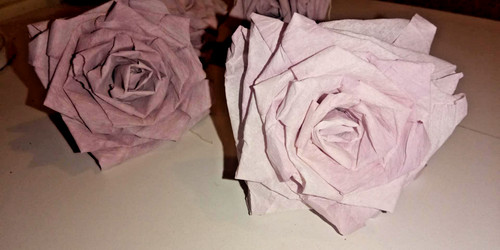 Krepprosen blumen aus - x,