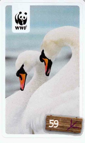 Rewe wwf tier - rewe, abenteuer