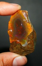 Opal Grob Welo Loser Opal Grob