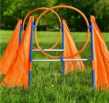 2 Agility-Profi-Hürden