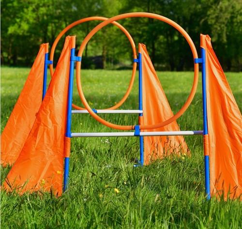 Agility profi hürden - 2, agility-profi-hürden