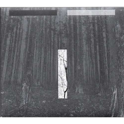 Chris liebing another - -, day