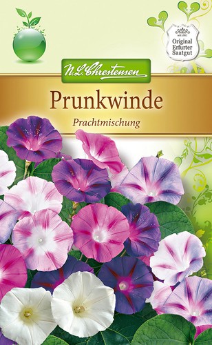 Prunkwinde prachtmischung - prachtmischung,