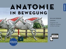Gillian Higgins Anatomie in