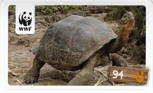 Rewe wwf tier abenteuer - wwf,