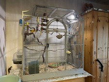 Montana Cages Madeira III mit viel Zubehör 