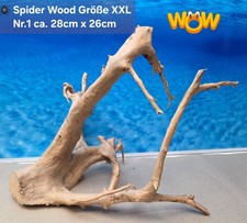 👋XXL Moorkien - Spiderwood