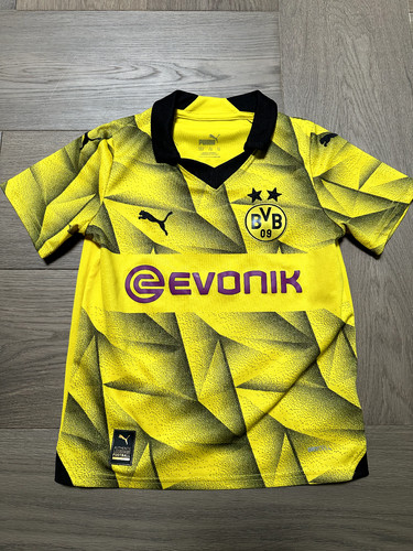 Puma bvb champions league - champions,