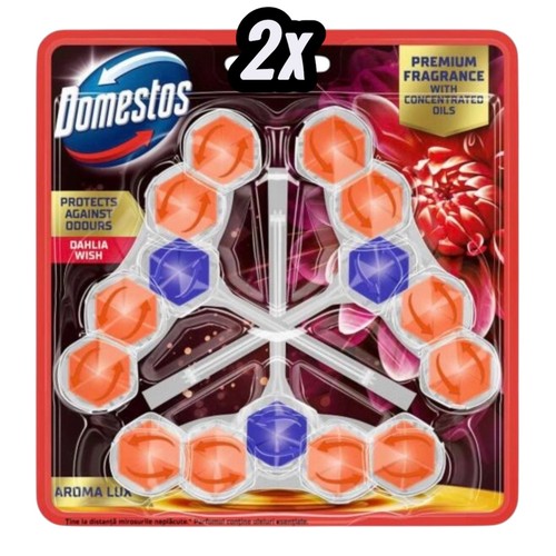 Domestos stein dahlie - dahlie, |