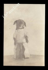 DACKEL MACHT MÄNNCHEN /