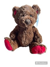 Plüschtier Teddybär