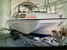 Kajüt-Motorboot gebraucht mit Trailer