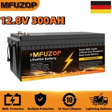 300Ah Lithium Batterie 12V