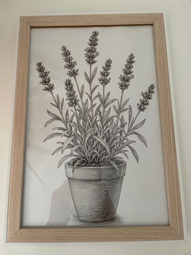 Bild lavendel 20x30 im - bild,