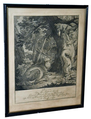 Radierung ridinger hirsch - radierung,, ridinger,