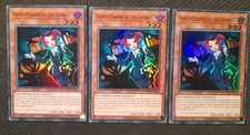 3x  Fremdenführerin aus der