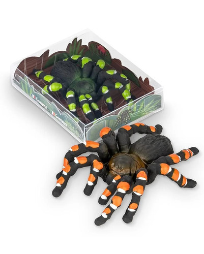 Vogelspinne radiergummi - vogelspinne,