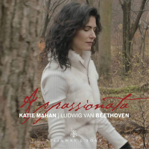 Ludwig van beethoven - van,