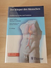 Der Körper des Menschen
