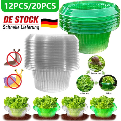 Schneckenkragen