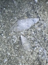 Calcit xx,  Analcim xx, Pyrit