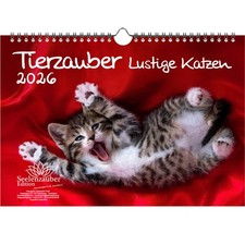 Tierzauber lustige Katzen DIN