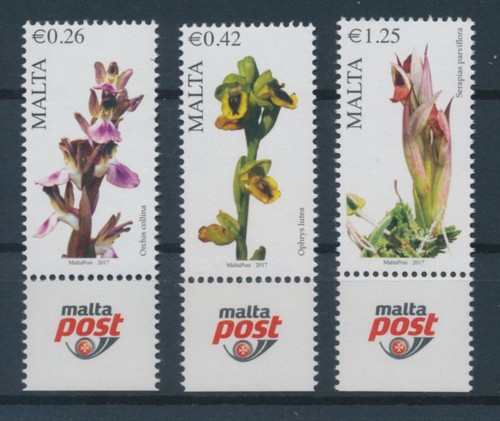 Malta heimische orchideen 2017 - malta,