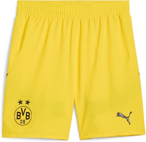Puma sport shorts - puma, promo