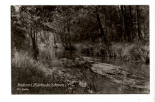 8407- Buckow ( Märk. Schweiz ) Die Stobbe