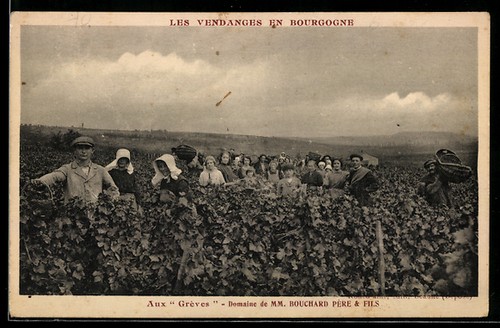 Chateau beaune cote - de,