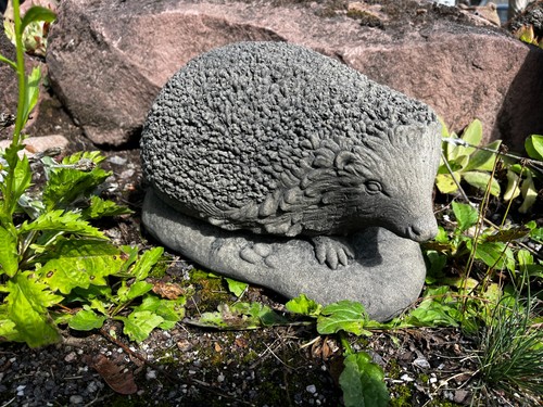 Igel groß tier - igel, skulptur