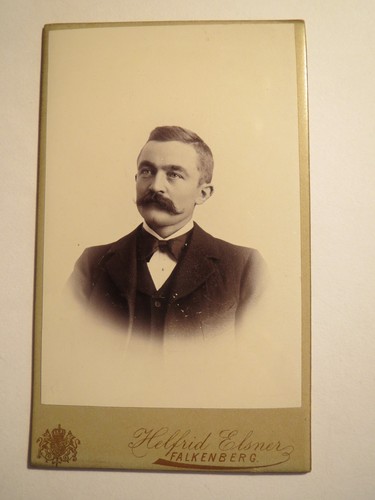 Falkenberg mann mit bart - mann, im