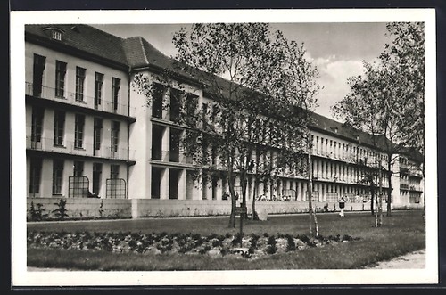 Küstrin blick auf das - /n.,,