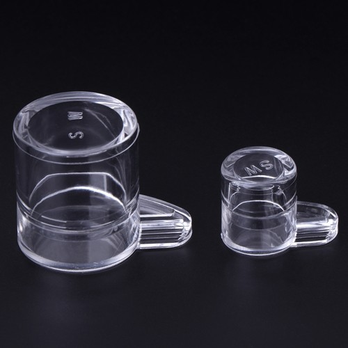 Ant feeder water - ant,