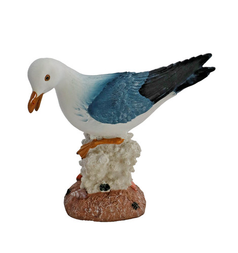 Deko möwe auf koralle - möwe,