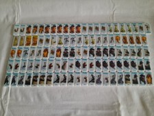 Real Ice Age 4 Domino Fieber insgesamt 106 Dominosteine