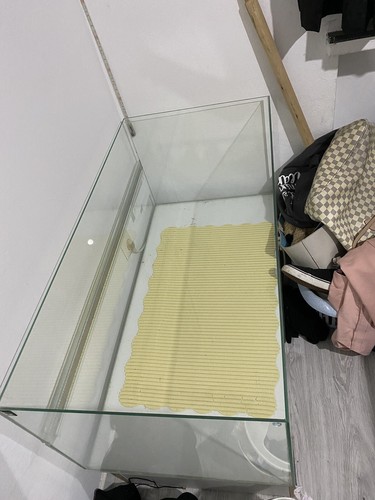 Hamster nagarium - hamster,