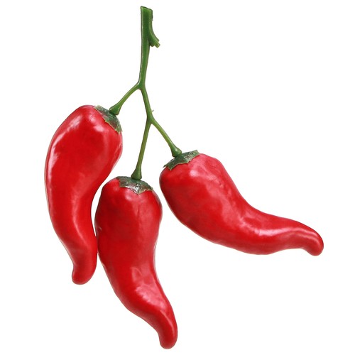 Deko chilischoten zweig - deko-chilischoten,