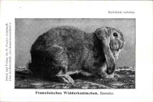 Französisches - ak,