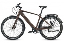 Elektrofahrrad 36V 10AH