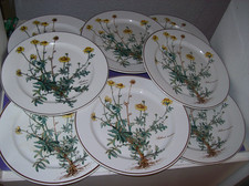 Villeroy boch botanica - &,