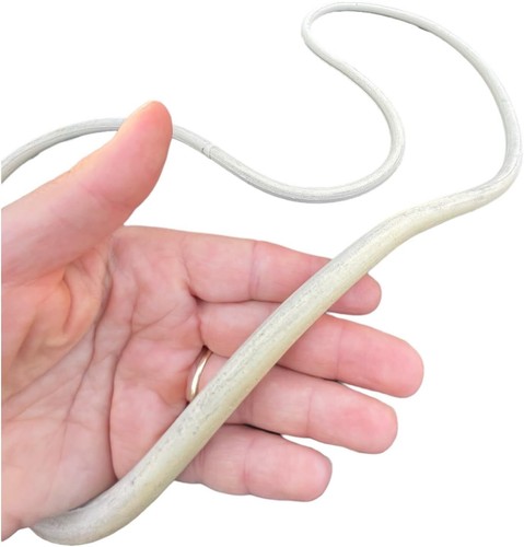 Gummidichtung - 1x,