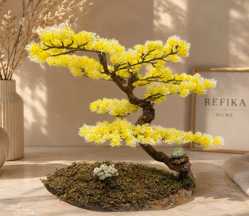 Ewiger echtstamm bonsai von - echtstamm,