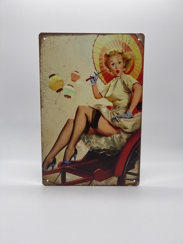 Blechschild pin 20x30cm - blechschild,