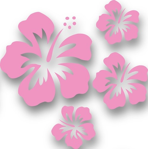 Stück hibiskus rosa - 4,